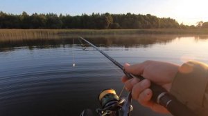 Отрисовка рельефа эхолотом Garmin Striker plus 4cv.