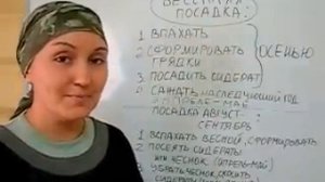 Посадка клубники. Весной или осенью?