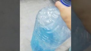 БЕГОНИЯ и ПЕЛАРГОНИЯ выращивание к 8 марта. Меняю формулу подкормок.