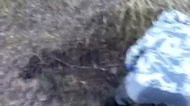 НА КВАДРИКЕ В БРОД смотреть онлайн