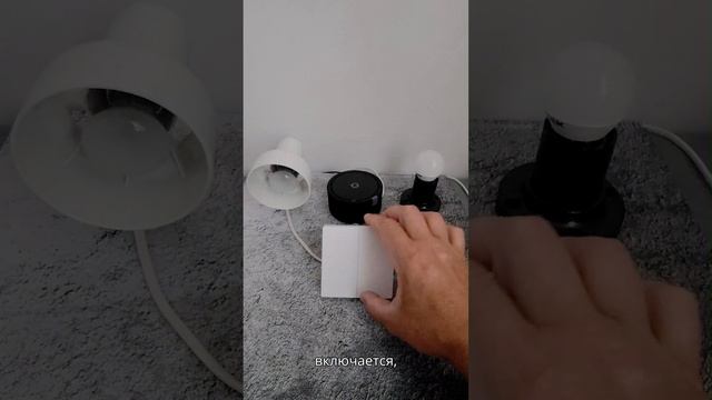 Умный двухклавишный выключатель с Алисой, Марусей и СберСалют смотреть онлайн