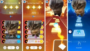 Chipi Chapa Cat vs Chipi Chapa Cat vs Chipi Chapa Cat vs Chipi Chapa Cat - Tiles Hop EDM Rush