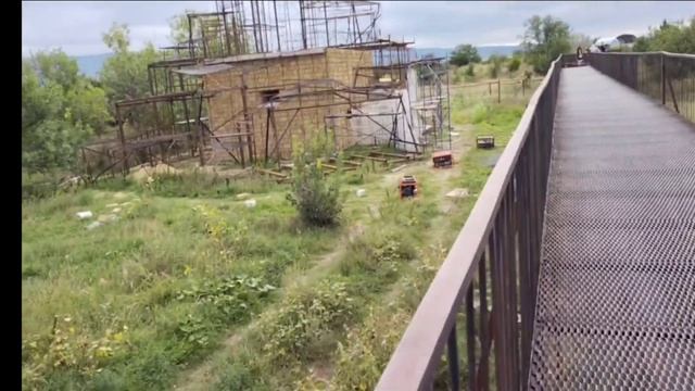 Тайган сегодня.. Что строят в "саванне"? #тайган #крым #животные #лев смотреть онлайн