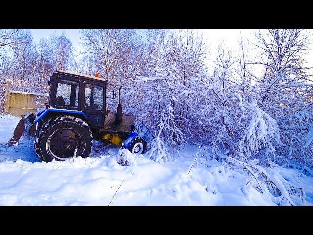 Выпал первый снег, и сразу много!