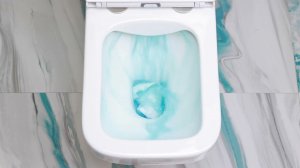 Тесты напольного унитаза Bridas, Alcora