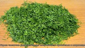 Чем полезен сушеный укроп, как его заготовить и использовать