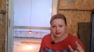 ПЕРВЫЕ СУТКИ БРОЙЛЕРА|ПОЕНИЕ|КОРМЛЕНИЕ|ТЕМПЕРАТУРА