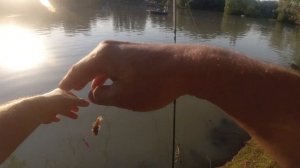 #254 | Ловля ротана на мормышку | Мутный Ротан |