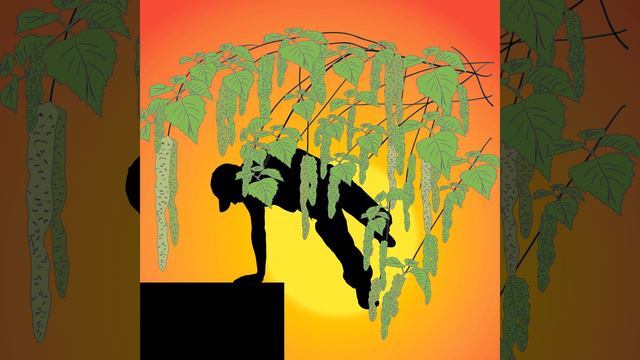 Сегодня слушал, пока принимал ванную смотреть онлайн