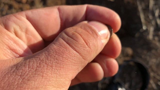 Коп на полі з металошукачем. Знайшов монету за 1000$ і багато інших знахідок смотреть онлайн