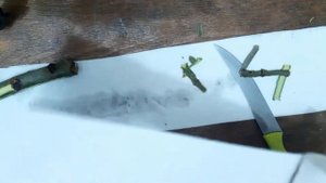 КАК СДЕЛАТЬ ПОГРЫЗУШКУ ДЛЯ ХОМЯКА СВОИМИ РУКАМИ ДЛЯ ХОМЯКА ИЗ ВЕТОЧЕК НА УЛИЦЕ? ХОМЯК♡