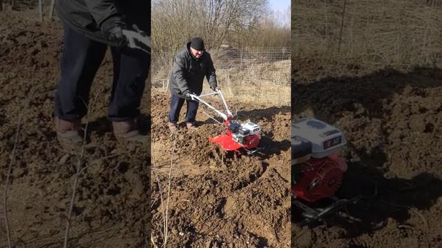 Мотоблок brait br-105 смотреть онлайн