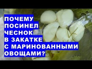 Почему посинел чеснок в закатке с маринованными овощами? Можно ли есть такие овощи и сам чеснок?