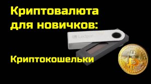 Криптокошельки: где хранить криптовалюту | Крипта для новичков
