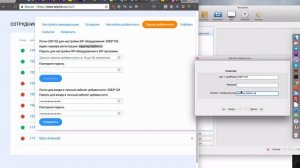 Настройка Telphin для Zoiper