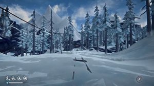 Медведь нарвался  ⇝ The Long Dark #9