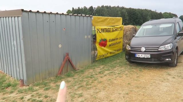 БЛОГЕРЫ В ГЕРМАНИИ / Обучение и путешествия на машине смотреть онлайн