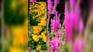 Вот и лето прошло.