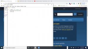 Install  Python 3.9 on Windows