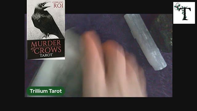 Murder of Crows Tarot