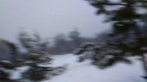 После снегопада поймали редкостную птицу.mp4