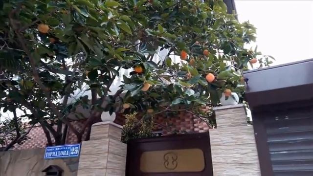 Привет, ноябрь - и сразу осень! смотреть онлайн