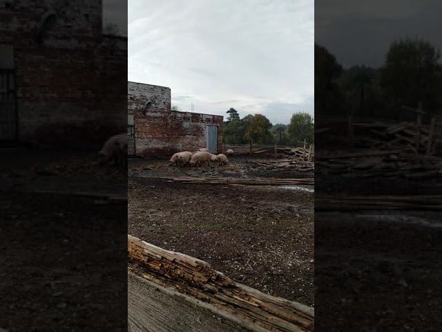 24 сентября 2022 г. смотреть онлайн