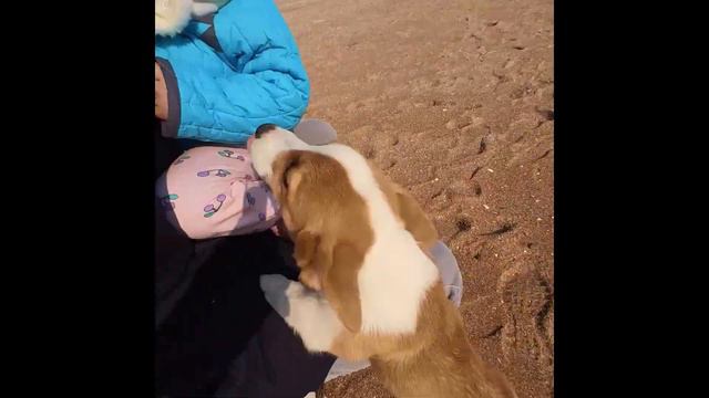 НЕУДАЧНАЯ ПОЕЗДКА НА МОРЕ/82🇰🇷 смотреть онлайн