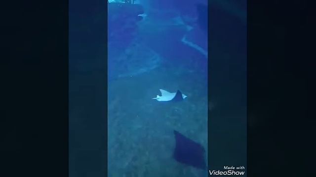 Меня зовут Аня. Добро пожаловать на мой канал. И я хочу начать свое видео с путешествия этого года. смотреть онлайн