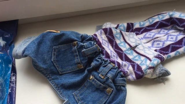 Обзор гардероба Софии/Одежда для собак с AliExpress/Шок! Все подошло, посылками довольны.