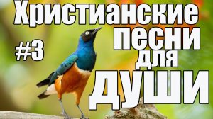 Христианские песни новые