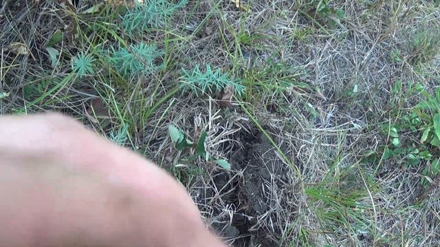 Коп в Донбассе есть отличная империя mp4 смотреть онлайн