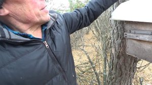 Снимаю ловушки в октябре 2 часть.