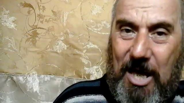 20170522 091914 СОБАКИ СОВСЕМ ЗАЕЛИ. смотреть онлайн