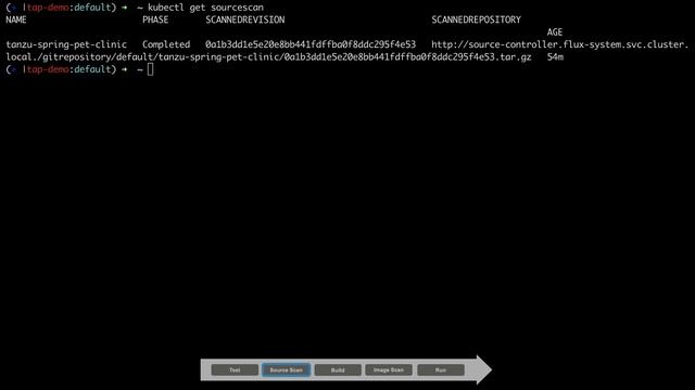 Overview: See the VMware Tanzu Application Platform DevSecOps Experience смотреть онлайн