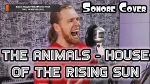 The Animals - House Of The Rising Sun (Cover Sonore)