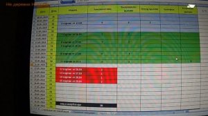 Эффективный метод инкубации  Ступенчатая инкубация индюшиных яиц