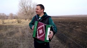 С гармошкой в поле. Гармонь Чайка2.