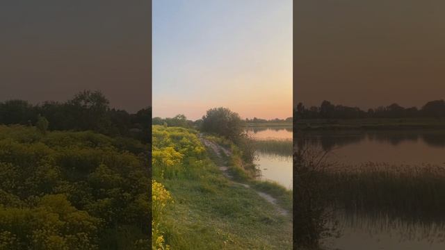 Озера Ленинградской области. Донцо. Кюрлицкий карьер. Вечер, закат 🌅