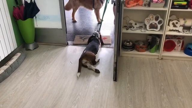 Mirti non vuole andare a casa