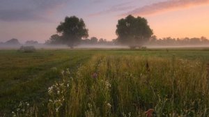 БЛЕДНЕЕТ НОЧЬ  Романс (ст. И. Бунина, муз. Д. Супруна)