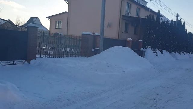 Дорога домой/в шоке/замёрзший кролик/Витасик морж/влог