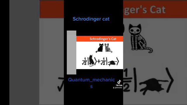 What is schrodinger cat ?