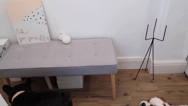 OLIVIA SILK, LUST LIVING - REVAMP RESTYLE REVEAL SEASON 3 - INTRO смотреть онлайн