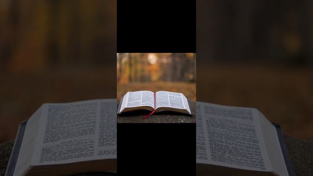 Євангеліє на щодень 31 січня 2023   Мр. 12 18 - 27