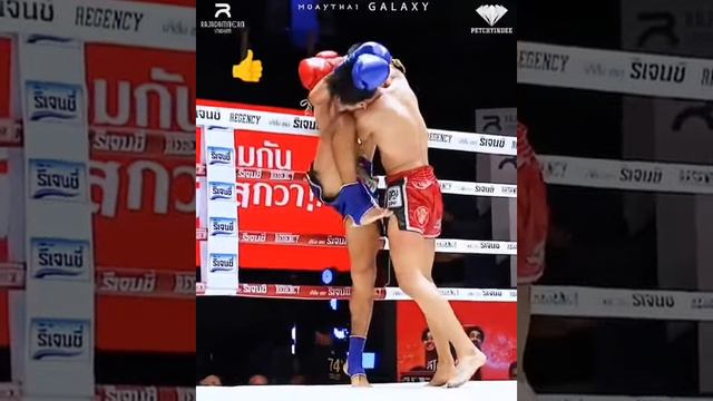 Удар коленом. #самбо #mma #боевоесамбо #мма #техника #муайтай #shortsvideo  #shorts #shorts