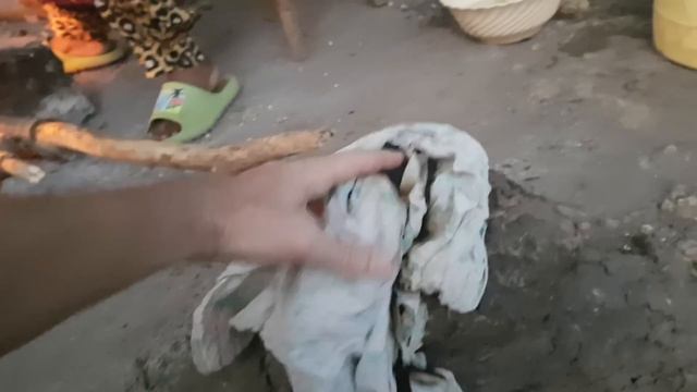 94. "Большой куш" Снимаюсь в Африканском кино. Забочусь о Зубеде. смотреть онлайн