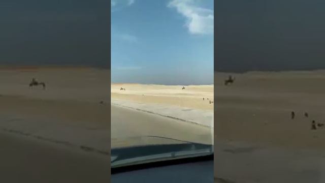 Египет ялама смотреть онлайн