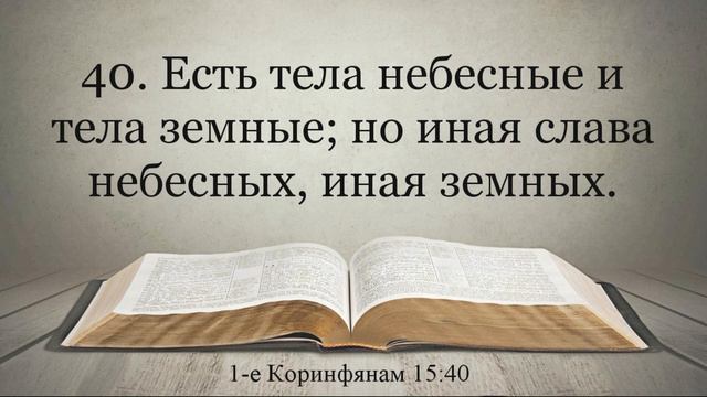 Лучшая Видео Библия. 1-е послание к Коринфянам. Главы 15-16. Синодальный перевод