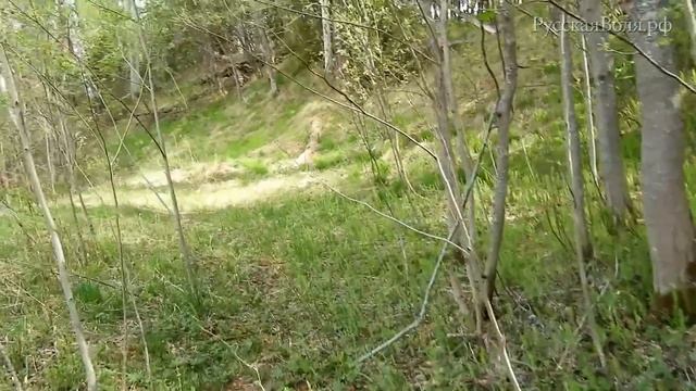[РВ] Сплав по реке Мера или ПОХОД КОТОРЫЙ ПОШЁЛ НЕ ПО ПЛАНУ